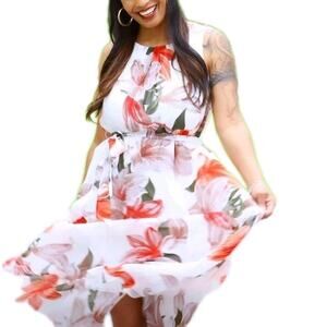 Kate & Lily Midi Dress Women's Size 8 White Red Green Floral NWT